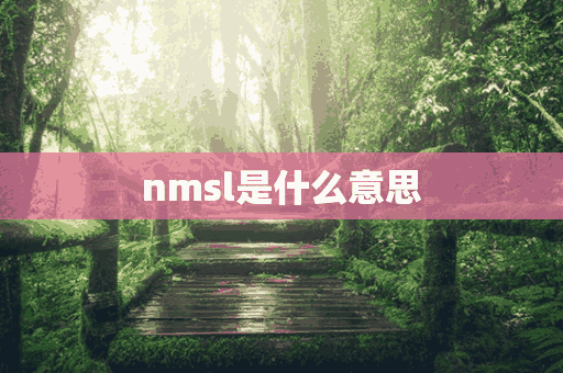 nmsl是什么意思(NMSL是什么意思)